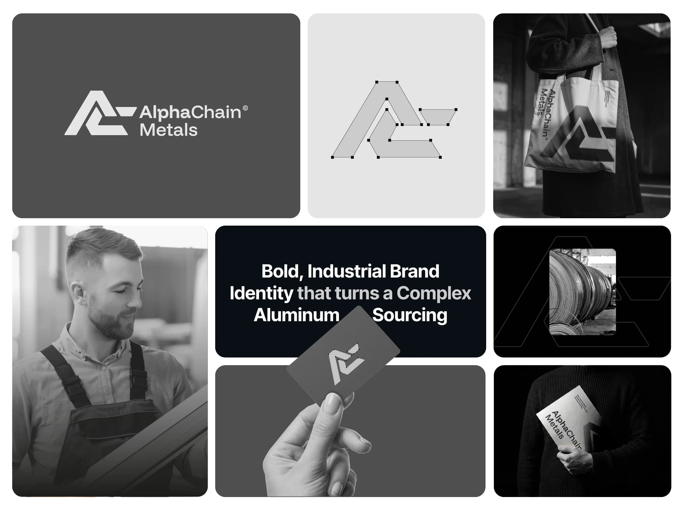 AlphaChain Metals brand identity overview