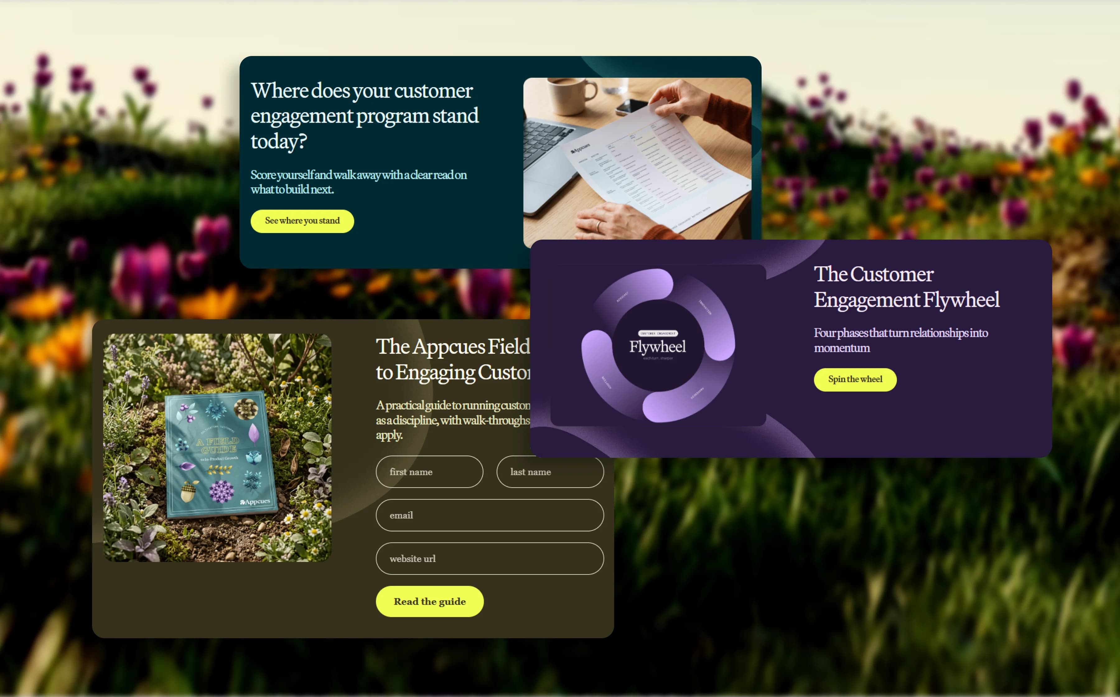 Appcues product experience in a customer context