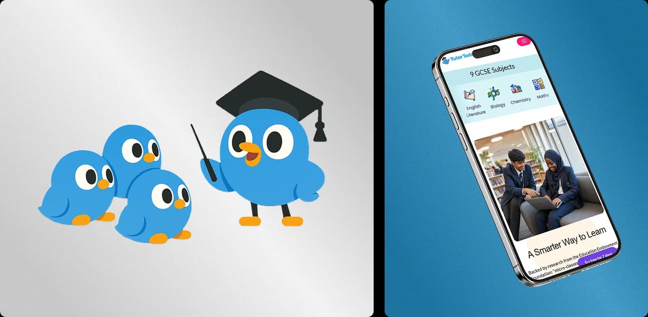 TutorToday illustrated study companions and mobile website