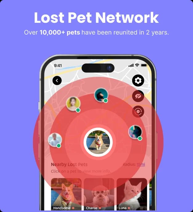 HeyBuddy lost pet network mobile visual
