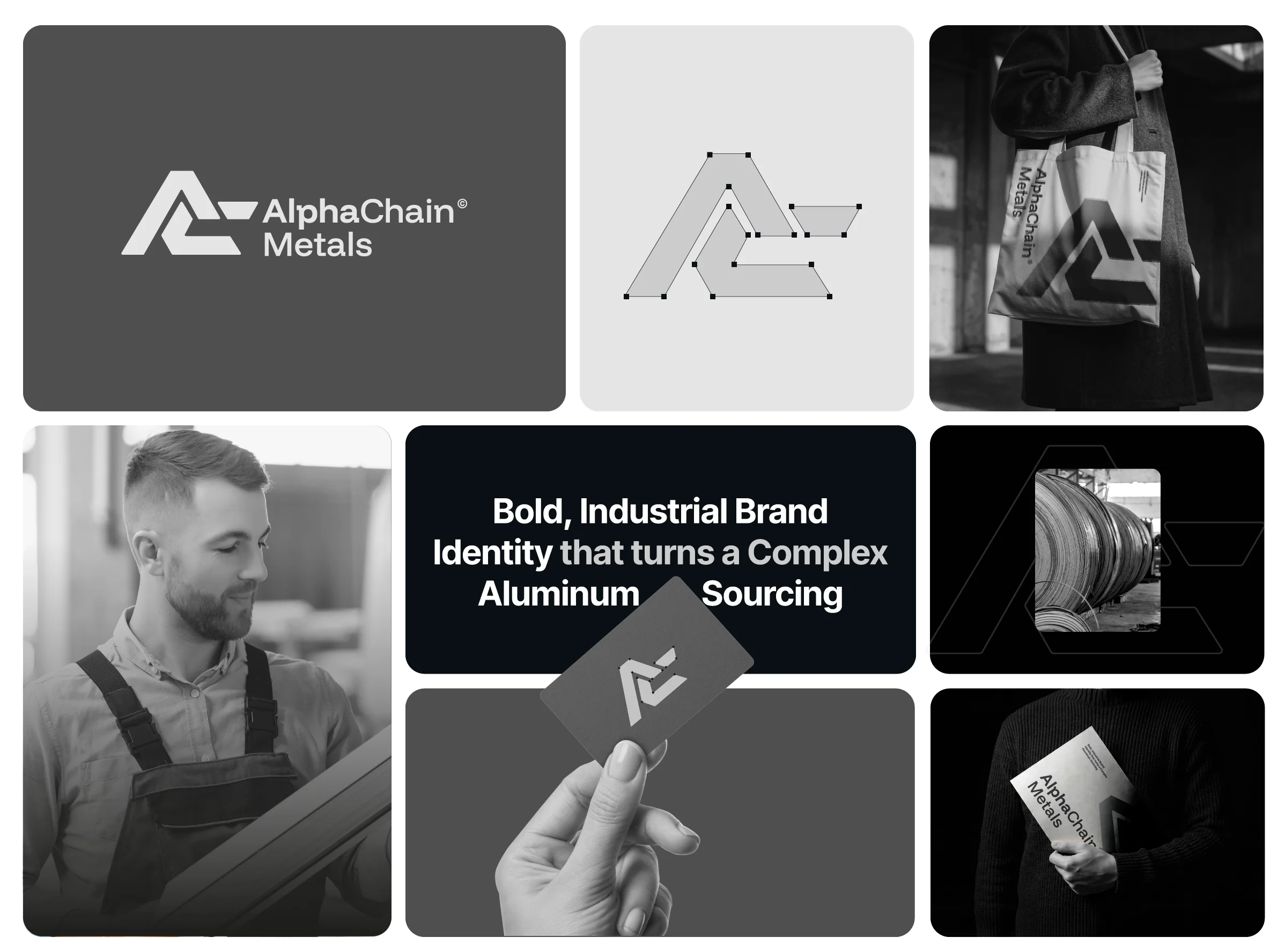 AlphaChain Metals brand identity overview