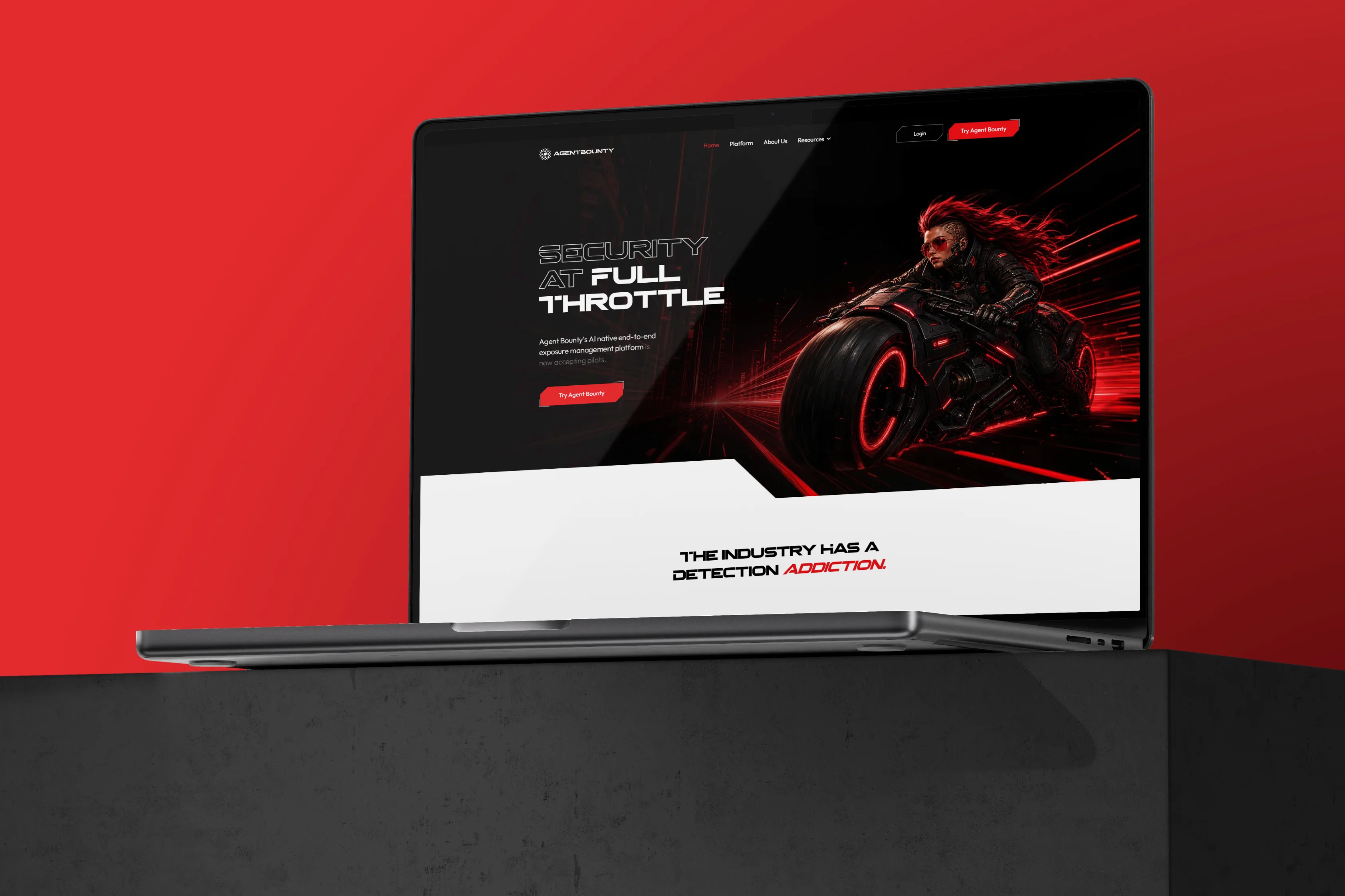 Website project preview